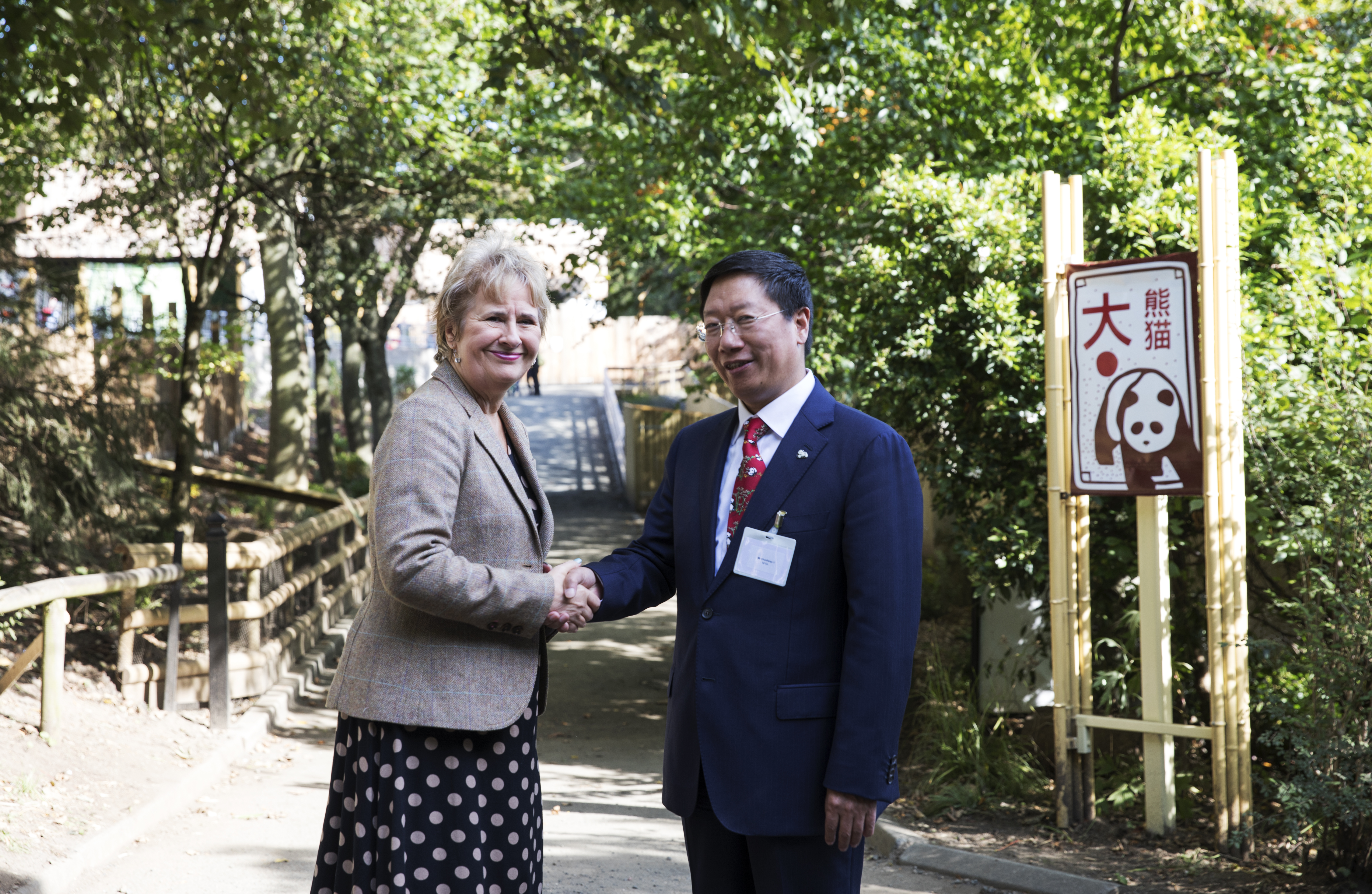 Opening of the new giant panda enclosure IMAGE RZSS 2019