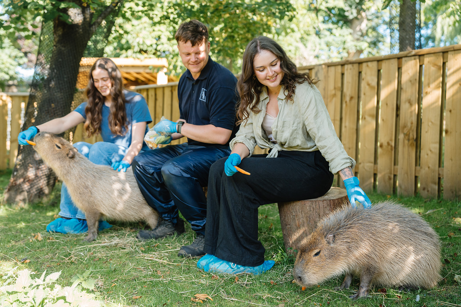 Capybara Magic Moment. IMAGE: Rachel Hein July 2025