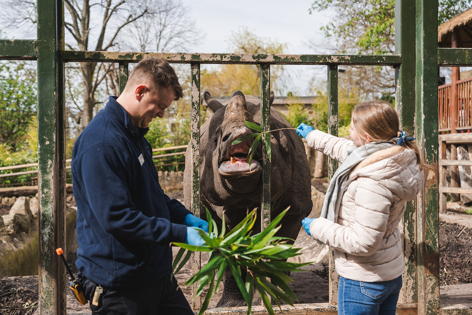 woman feeding rhino with keeper in shot smiling IMAGE: Rachel Hein 2024