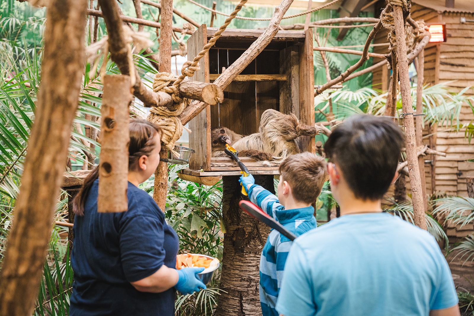 children feeding sloth with keeper IMAGE: Rachel Hein 2024