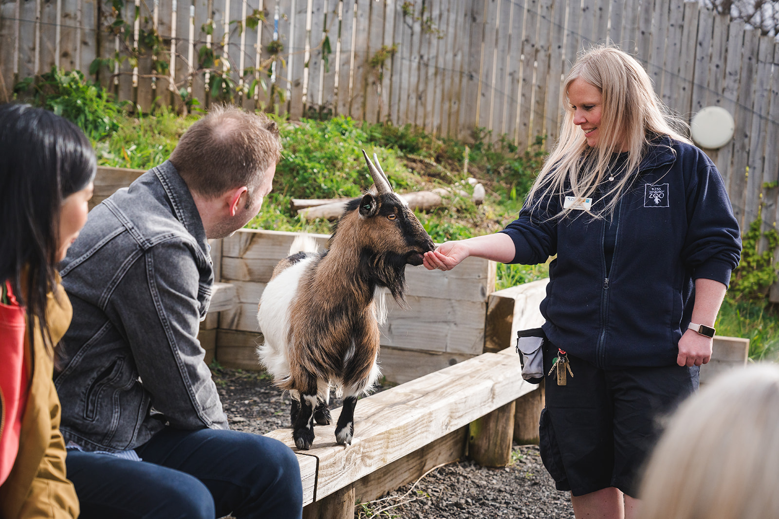 Goat at Animal Antics interacting with keeper. IMAGE: Rachel Hein 2024