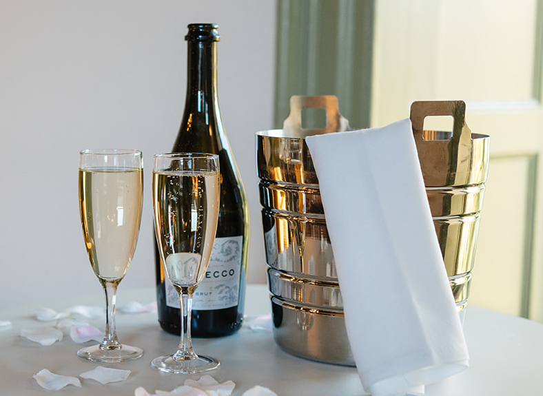 Animal Happy Hour main event image. IMAGE: Rachel Hein November 2025