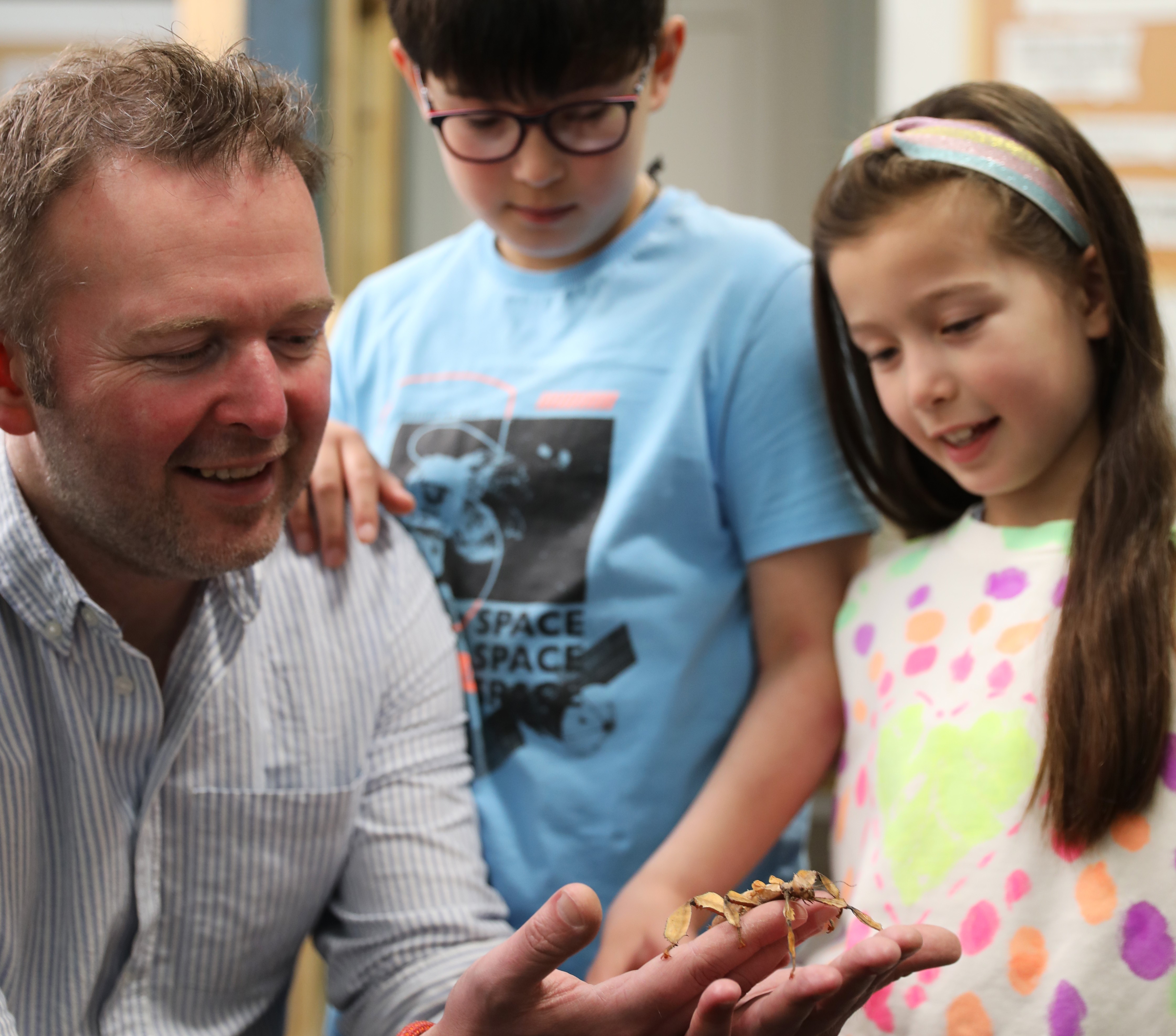 parent and children looking at stick insect IMAGE: Rachel Hein 2024