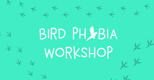 Bird phobia workshop graphic
