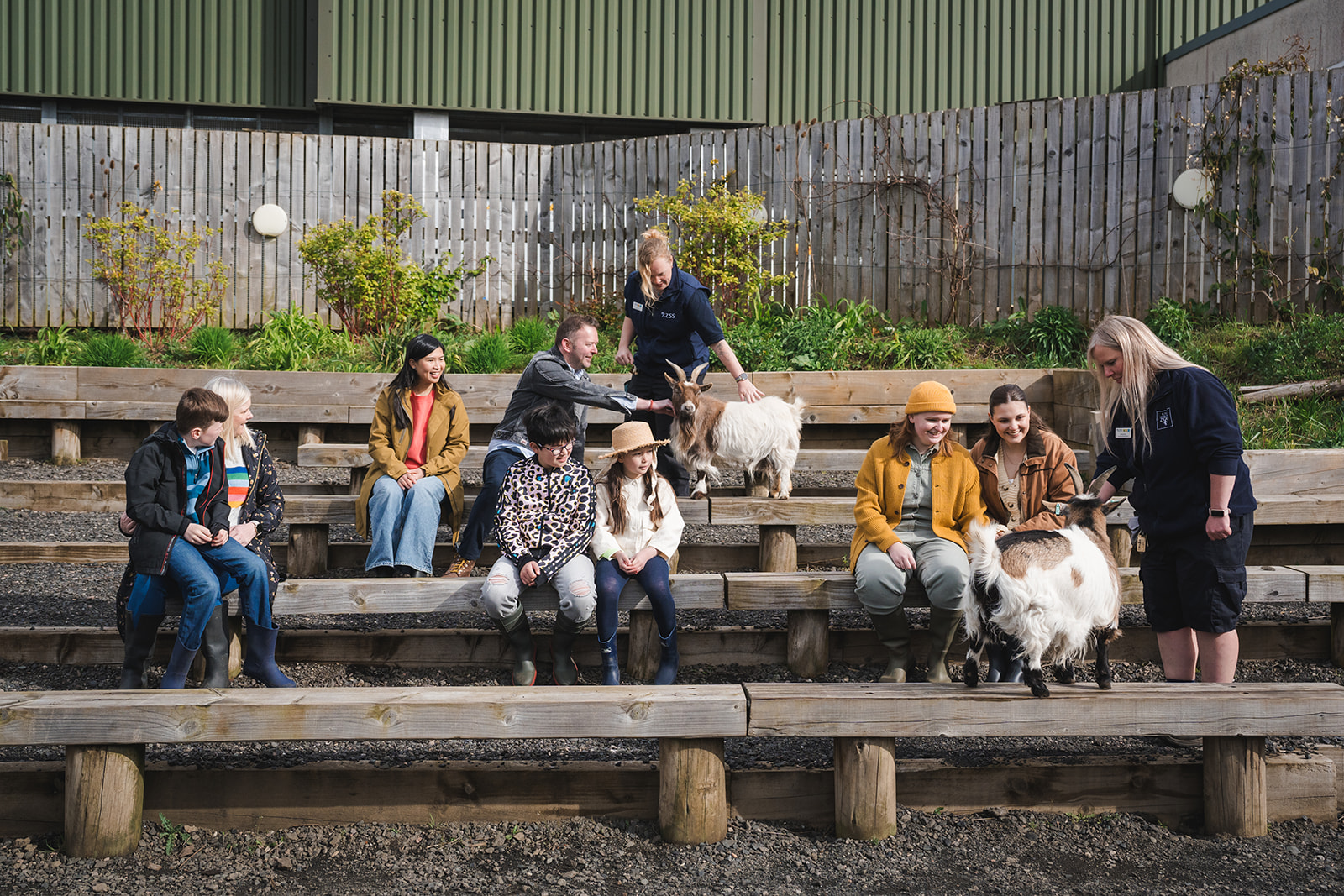 visitors sat in animal antics with keeper and goat in shot