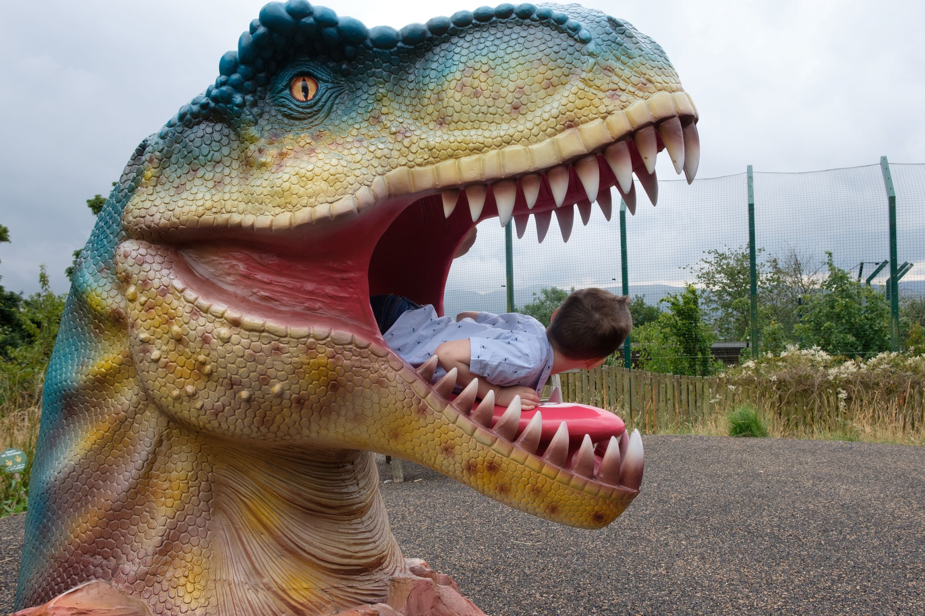 child peeking our of dinosaurs mouth IMAGE: Robin Mair 2022