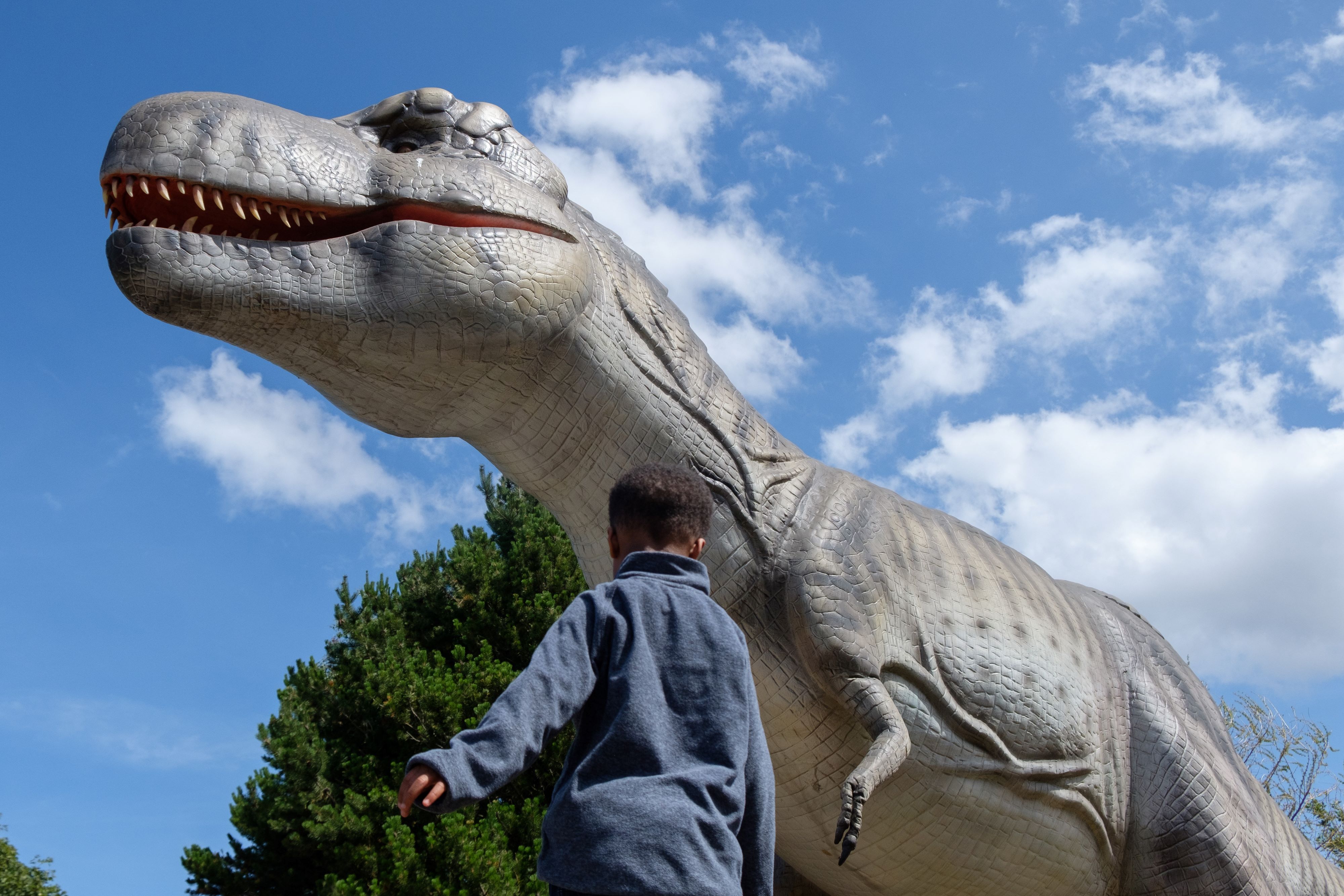 child looking up at dinosaur IMAGE: Robin Mair 2022