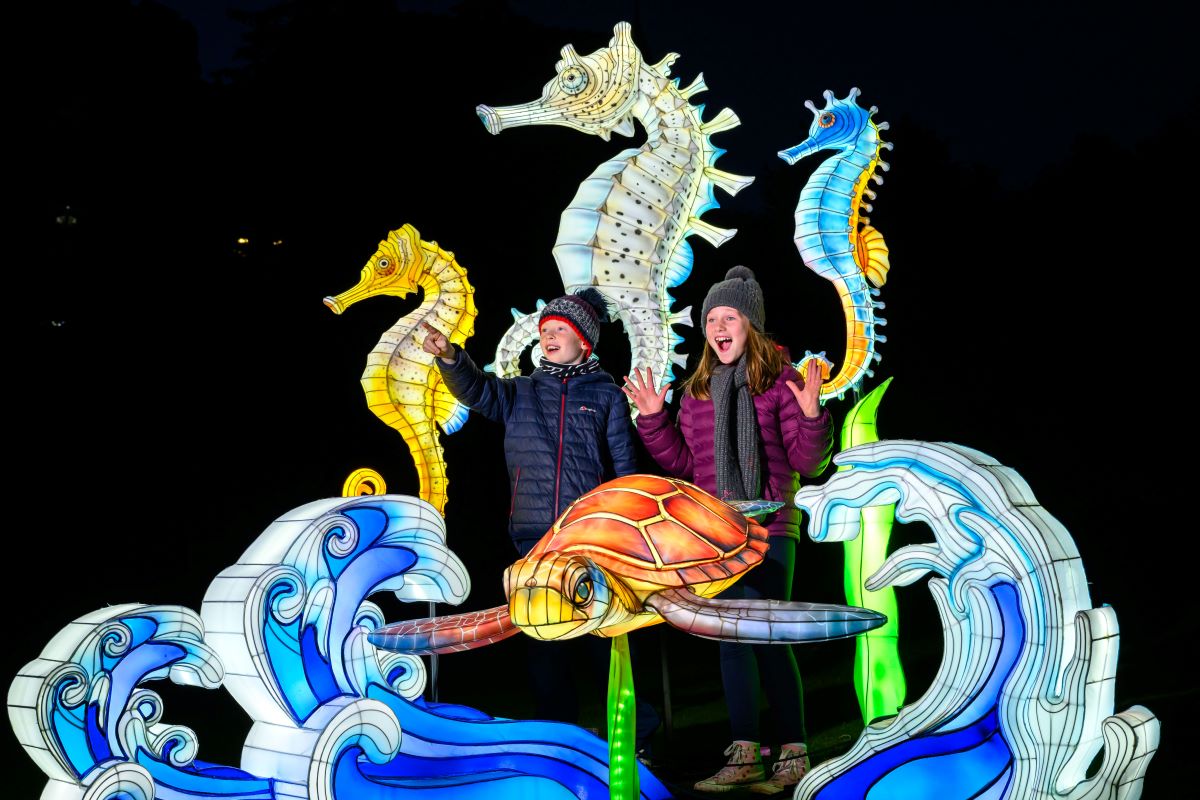 Giant Lanterns advance press shoot. IMAGE: Ian Georgeson September 2025