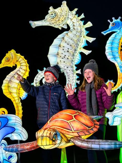Giant Lanterns advance press shoot. IMAGE: Ian Georgeson September 2025