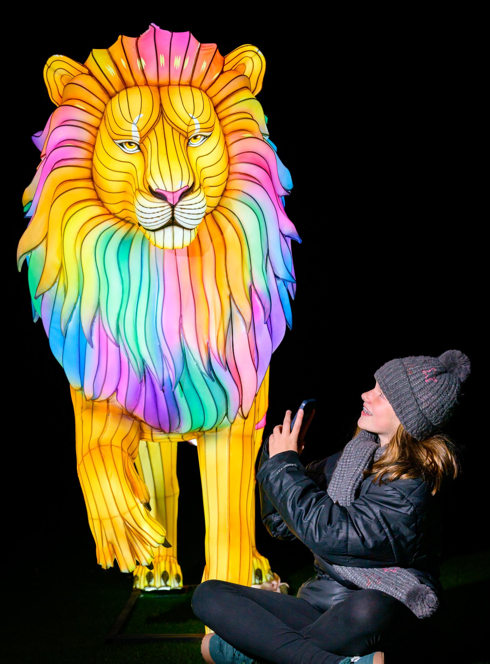 Giant Lanterns promo pic. IMAGE: Ian Georgeson August 2026