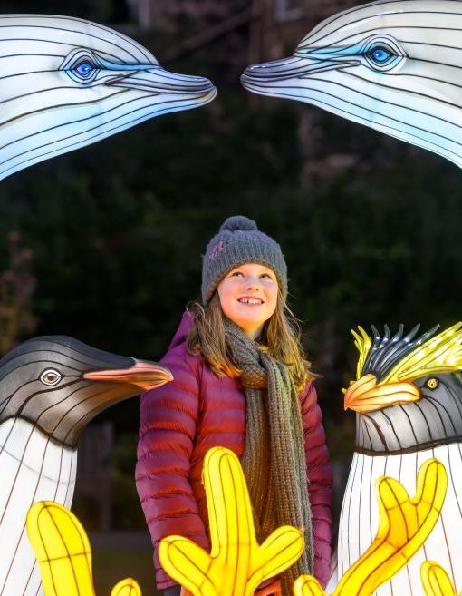 Giant Lanterns advance press shoot. IMAGE: Ian Georgeson September 2025