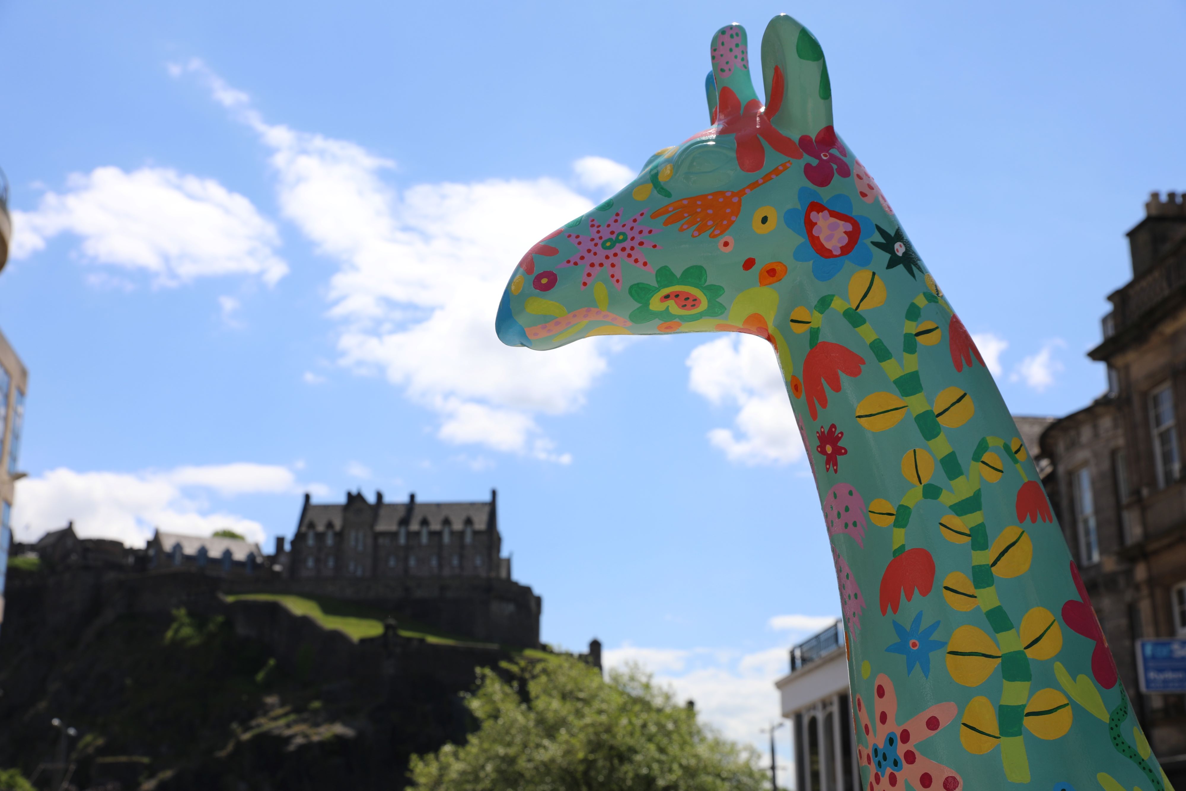 giraffe flora on castle street with castle in background