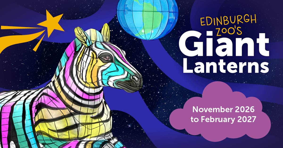 Edinburgh Zoo's Giant Lanterns
