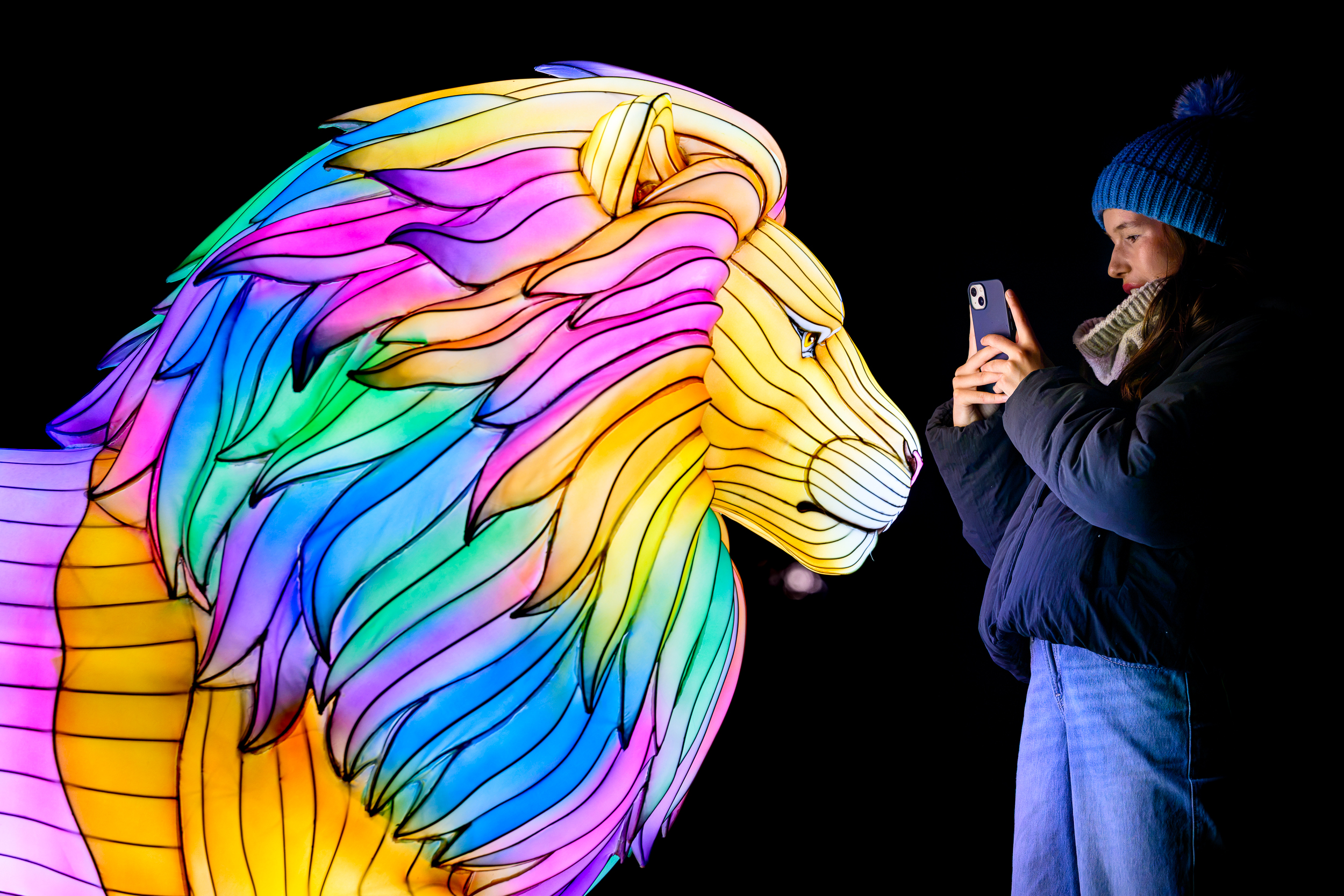 Visitor taking photo of lion lantern IMAGE Ian Georgeson 2026
