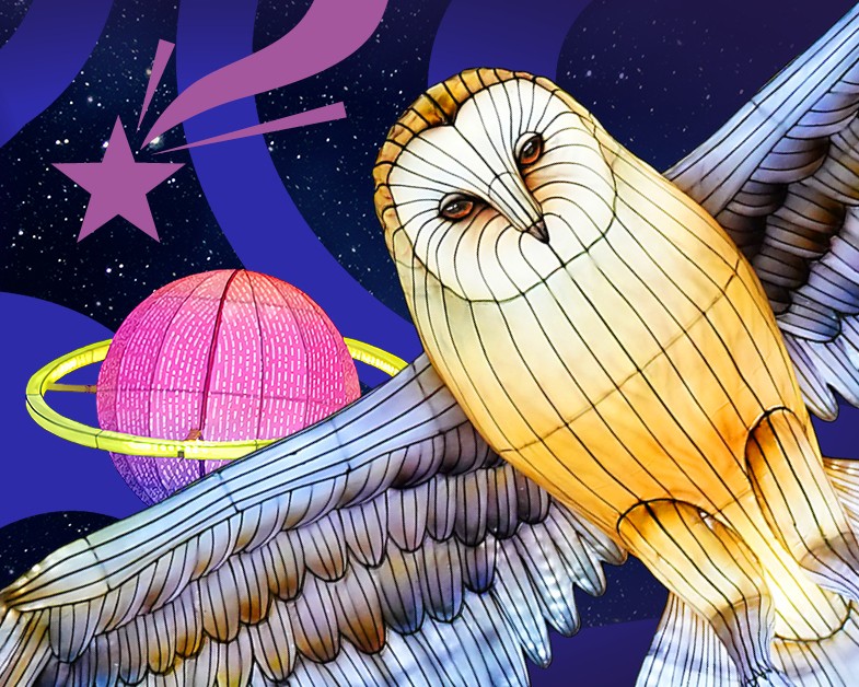owl giant lanterns