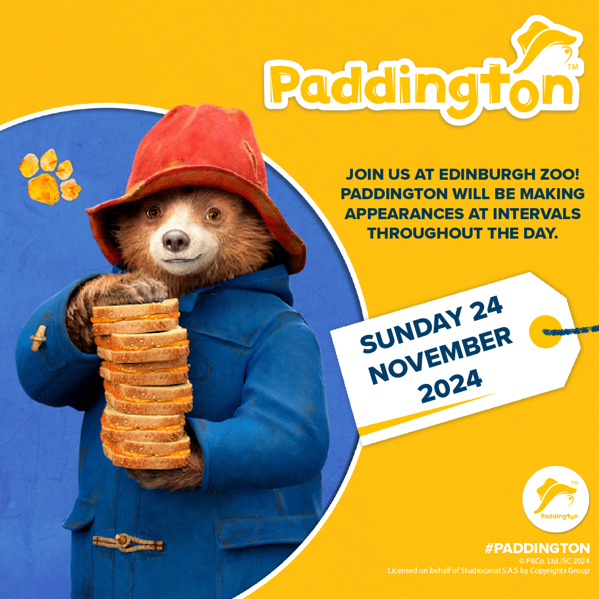 Paddington at Edinburgh Zoo – November 2024