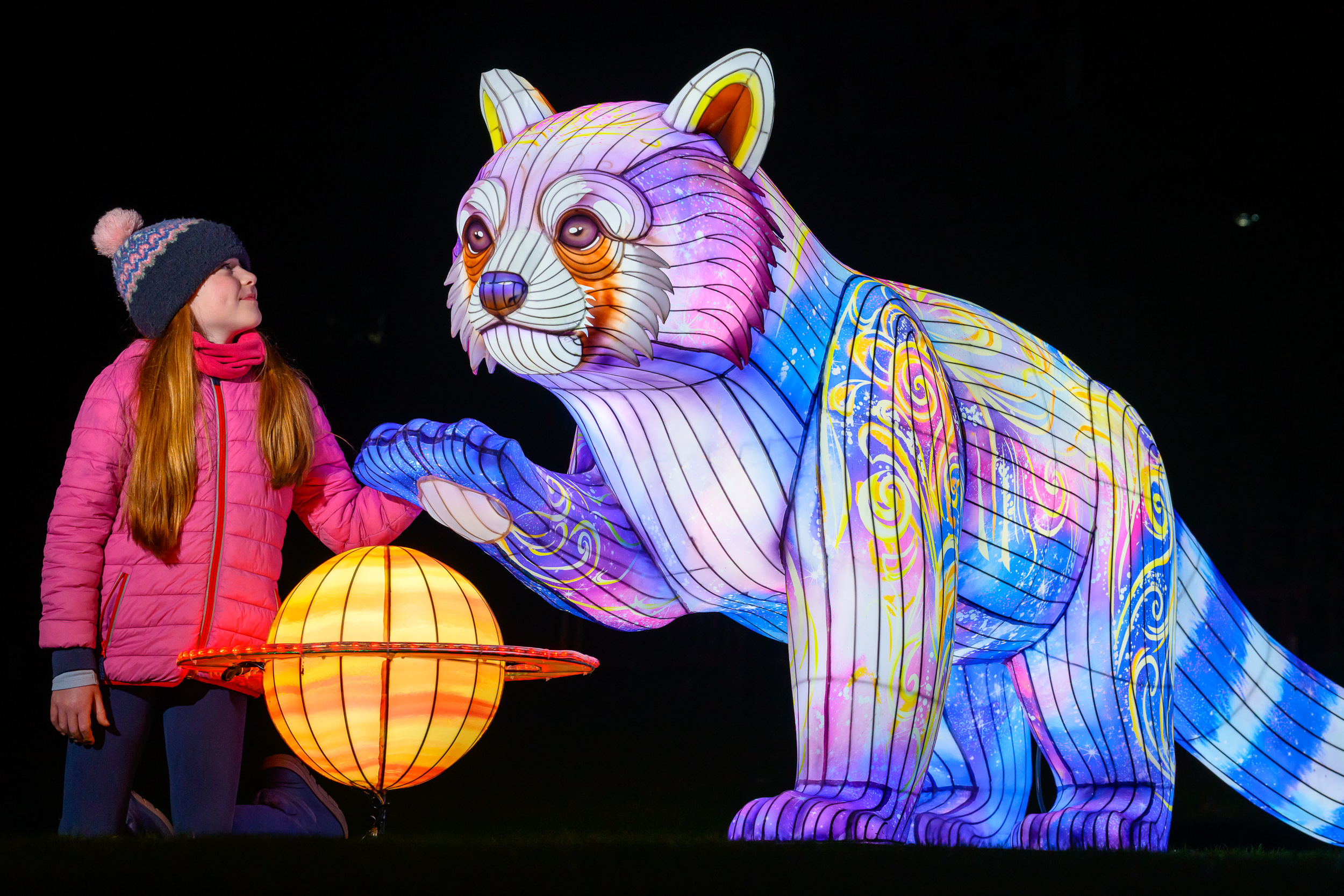 Visitor standing next to red panda lantern IMAGE Ian Georgeson 2026