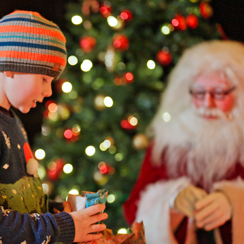 Santa in the Edinburgh Zoo Grotto