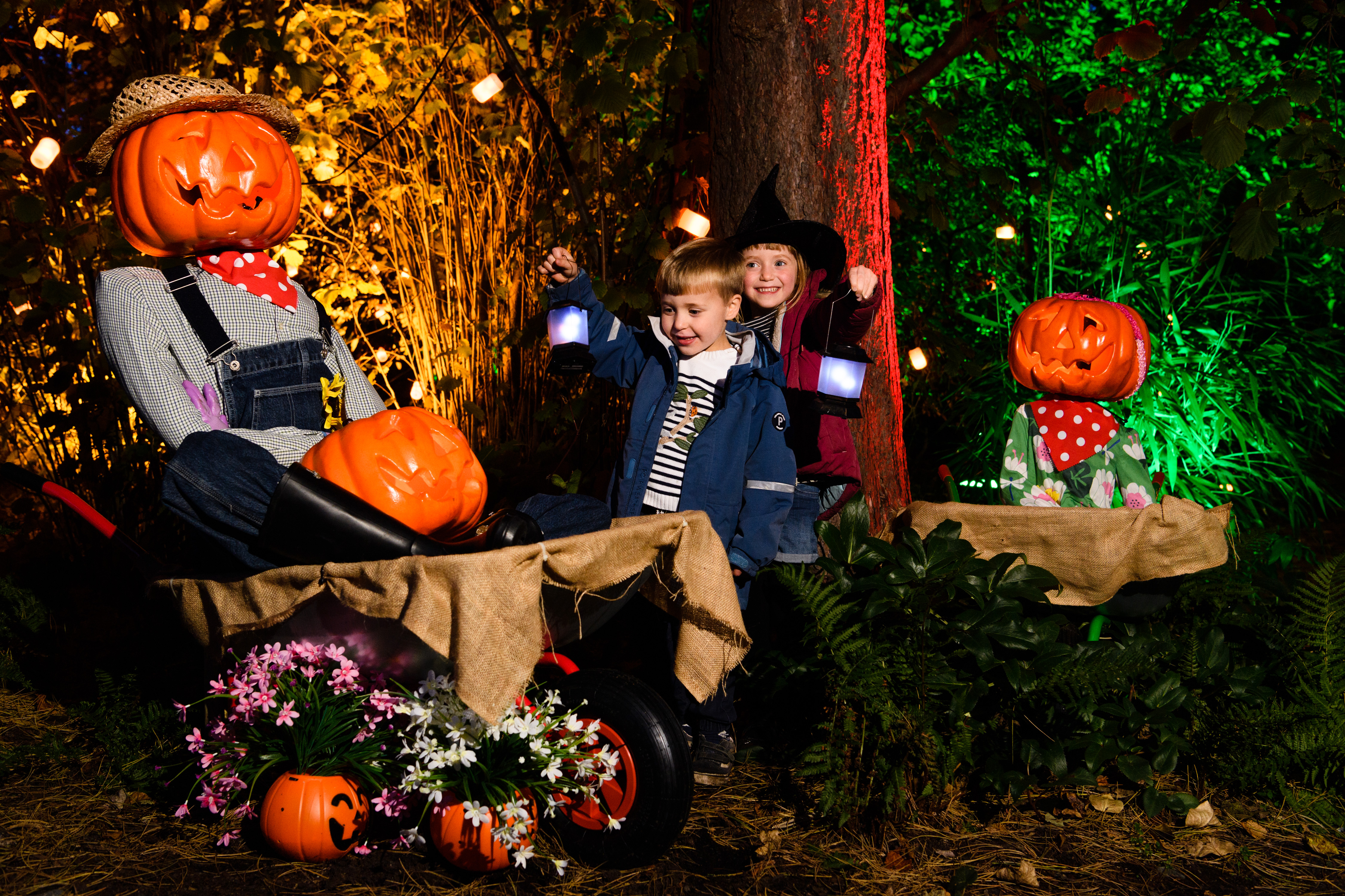 Two children amongst a Halloween themed display with pumpkins and scarecrows

IMAGES: 2021