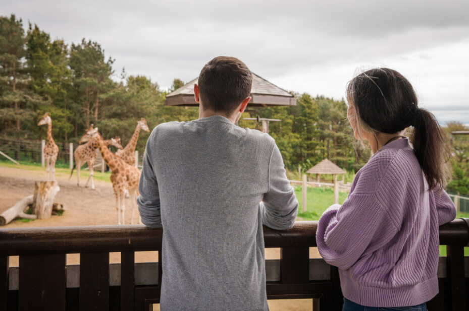 vanessa and chris smiling looking at giraffes from viewing point IMAGE: Rachel Hein 2023