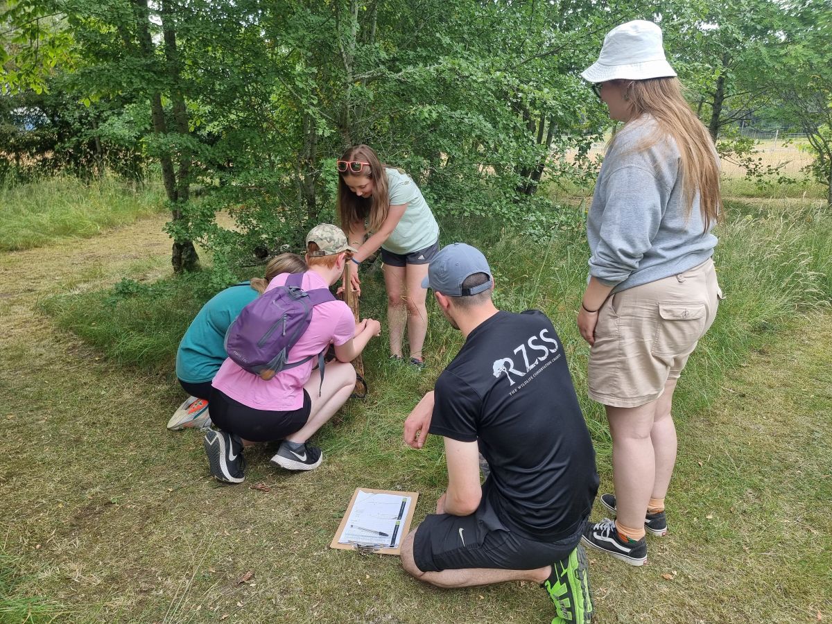 Teacher CLPL event image. IMAGE: RZSS