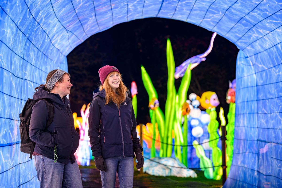 Visitors at Edinburgh Zoo's Giant Lanterns in the walk through Giant Whale. IMAGE: Ian Georgeson November 2025