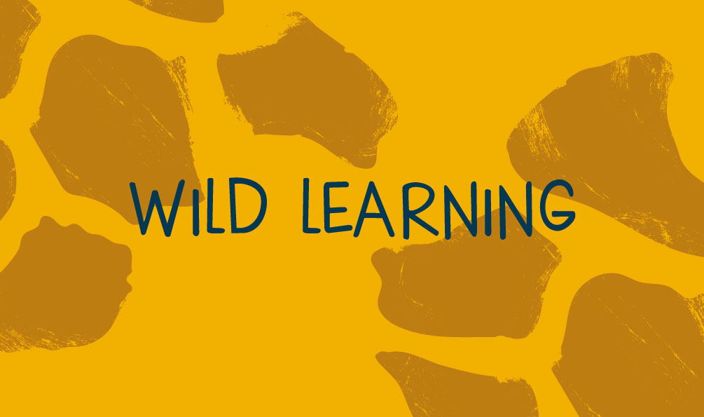 yellow edinburgh science festival wild learning graphic with giraffe pattern