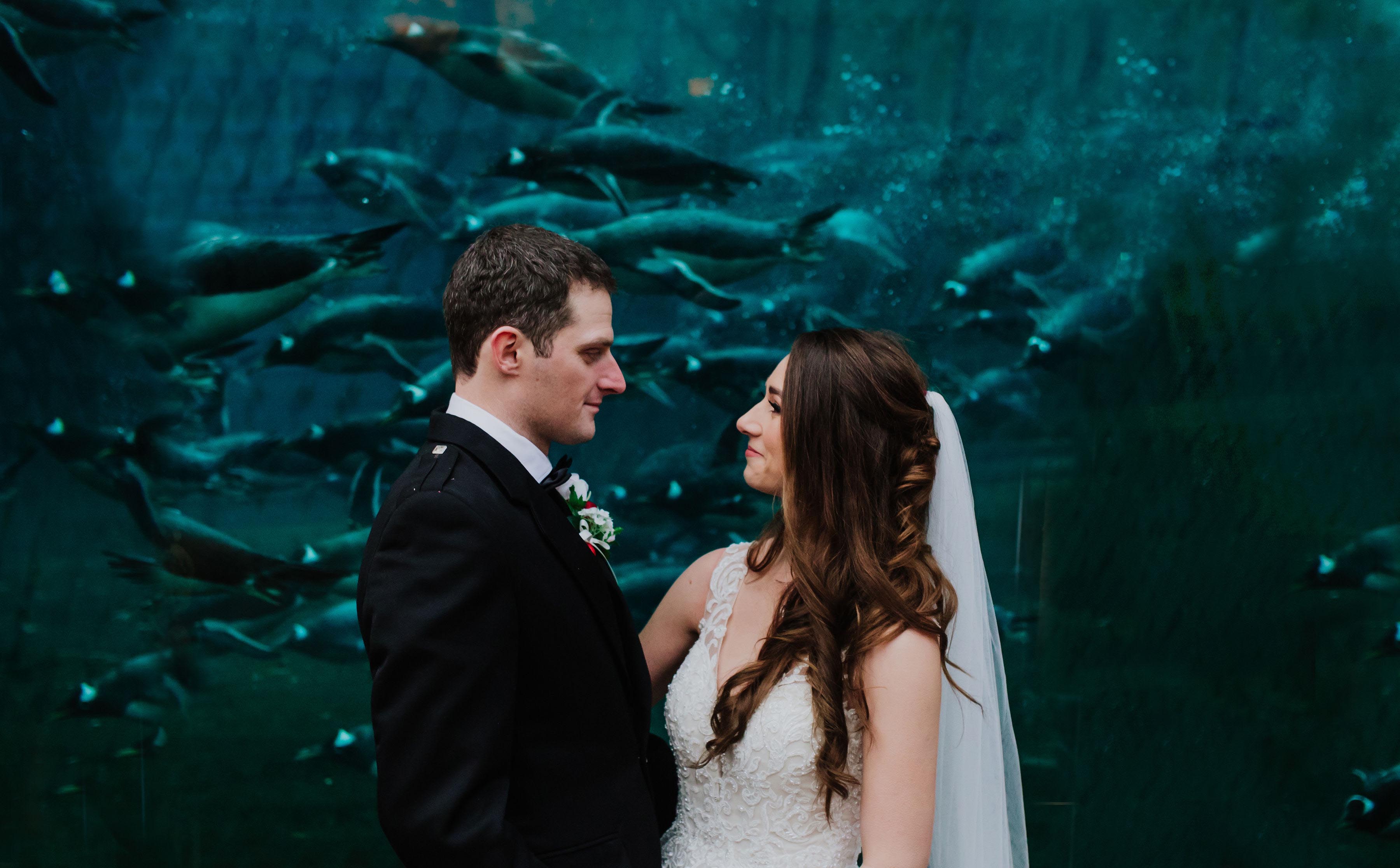 Bride and groom pose in front of penguin pool viewing window IMAGE: Compass 2023