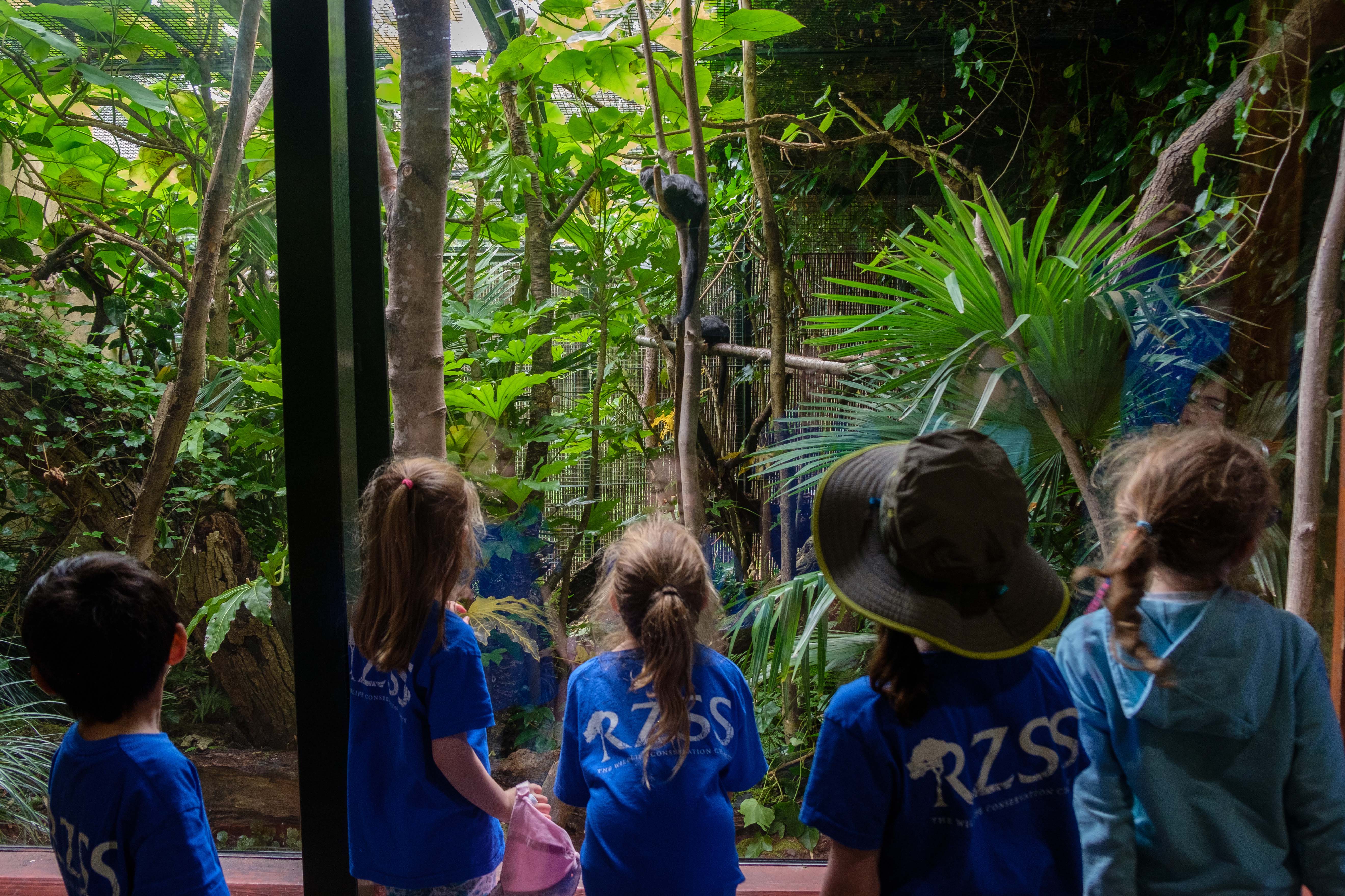 Summer school children viewing in Magic Forest with RZSS logo on tshirt backs IMAGE: Robin Mair 2022