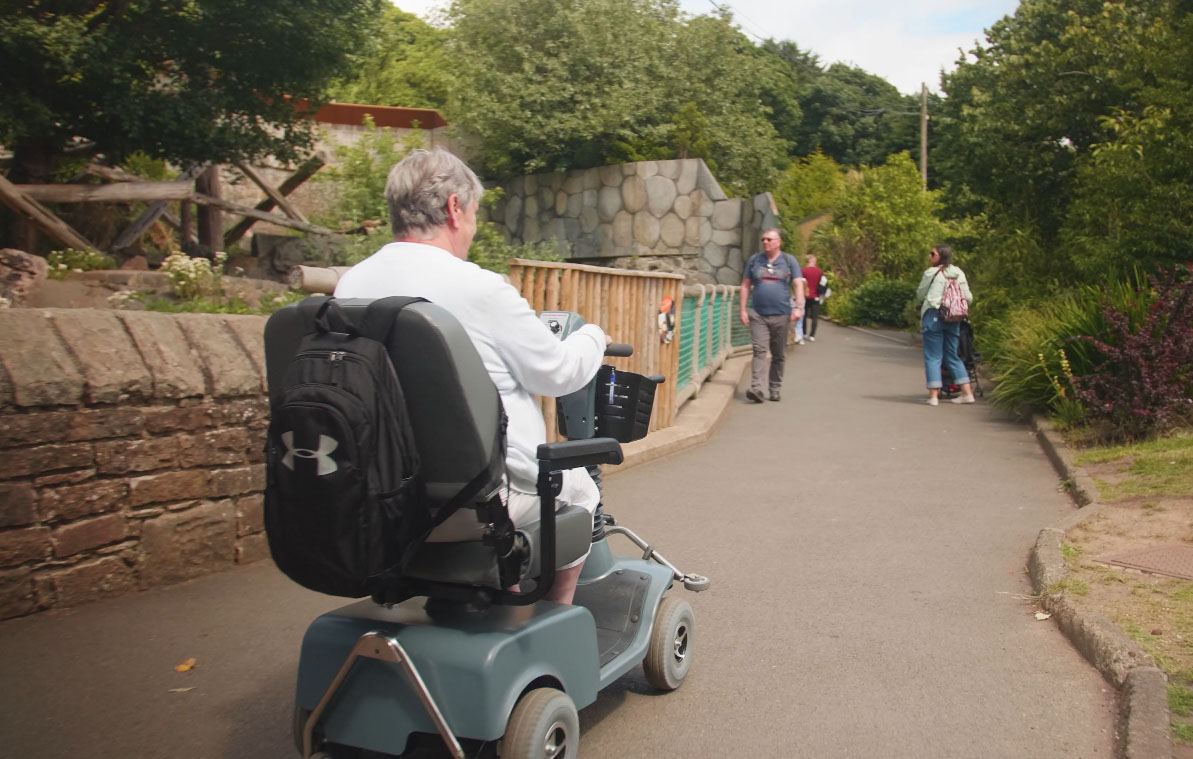Visitor using a mobility scooter passing by sun bears IMAGE: FoSho 2023