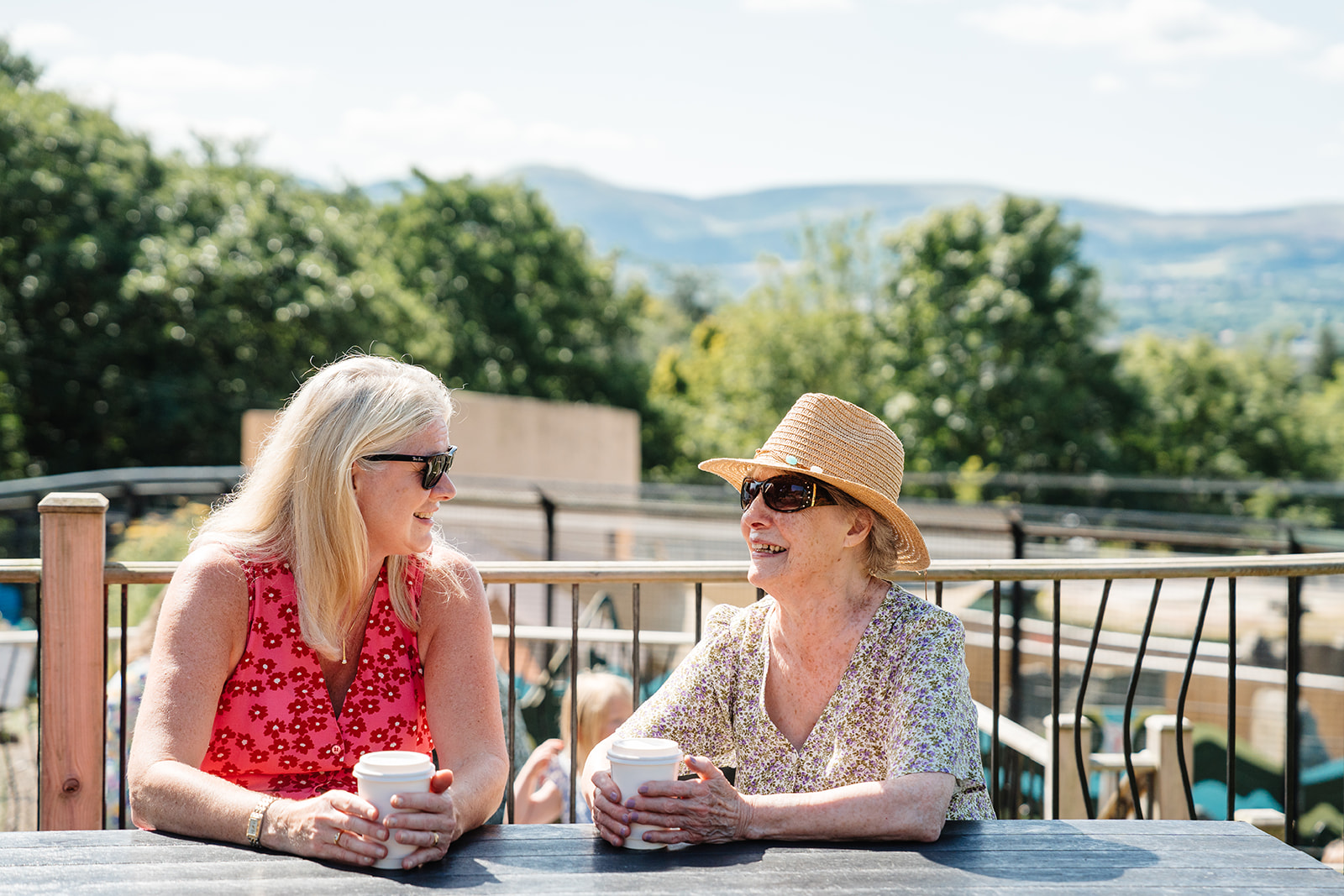 Visitors on picnic bench next to penguins. IMAGE: Rachel Hein July 2025