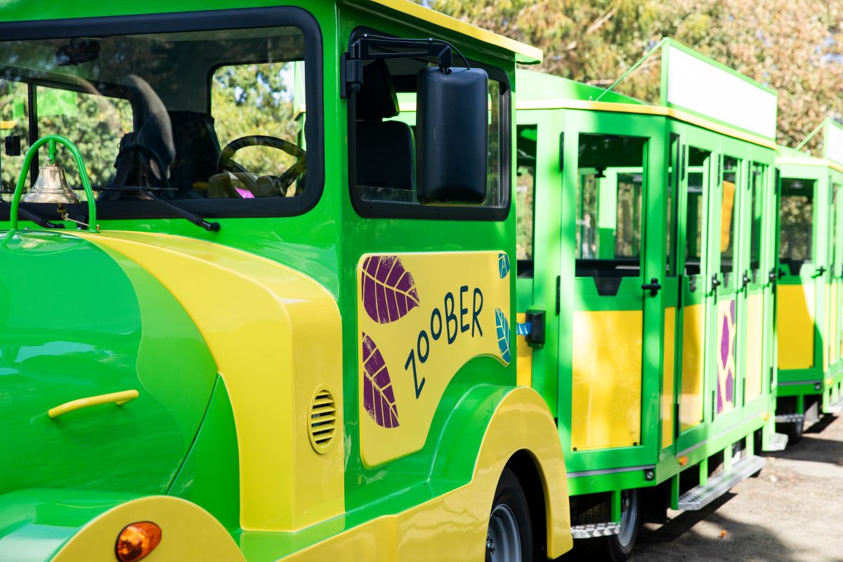 Journey around the zoo by Zoober!