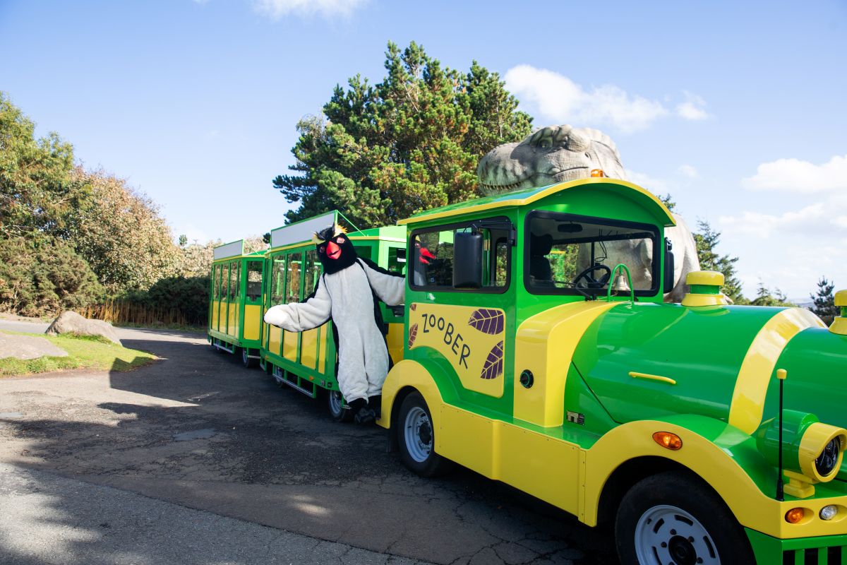 Journey around the zoo by Zoober!