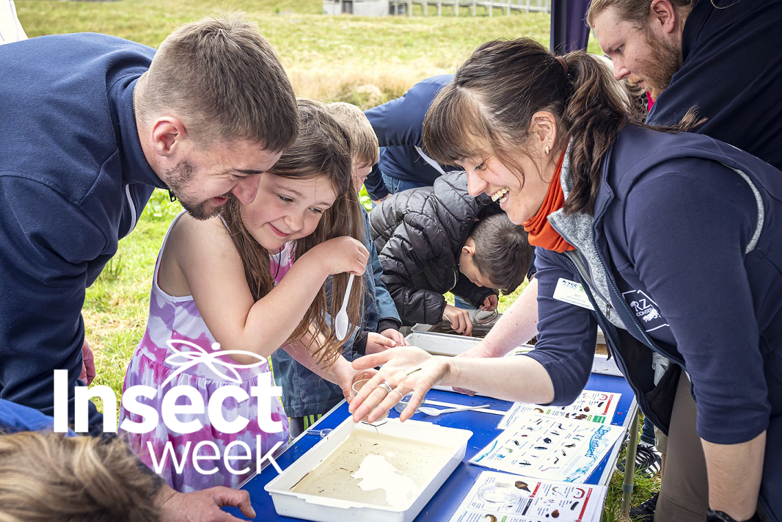 Brilliant Beasties event image with insect week logo. IMAGE: RZSS