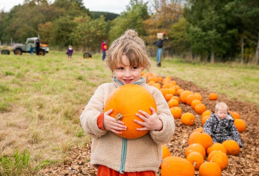 Girl holding pumpkin at Pumpkins at the Park event. IMAGE: Olivia Torely, October 2026
