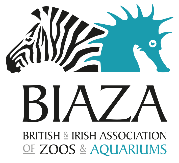 biaza transparent logo and text