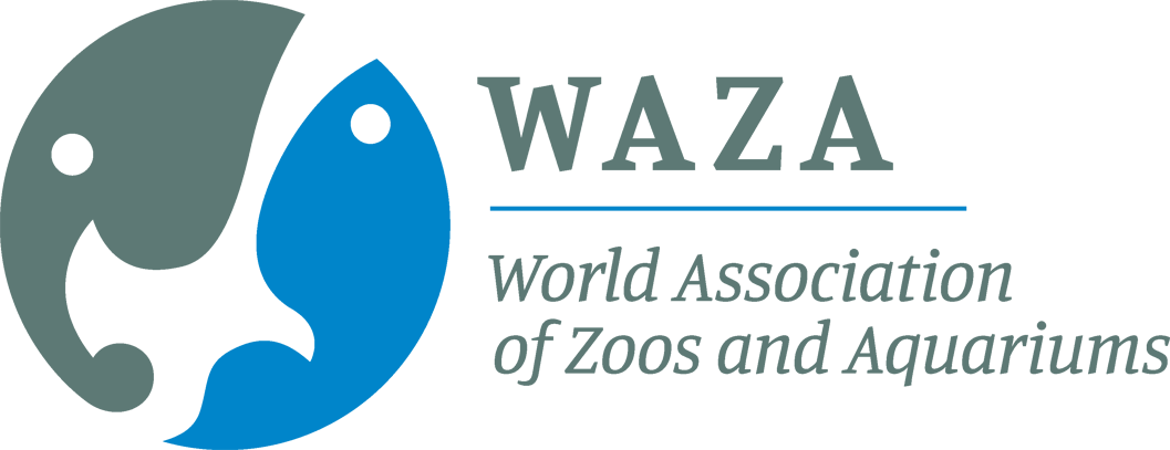 waza transparent logo and text
