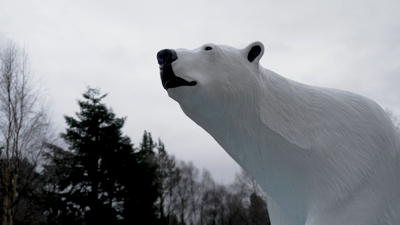 Polar bear statue in car park of Highland Wildlife Park IMAGE: FoSho 2023