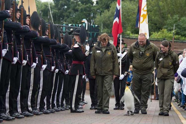 Sir Nils Olav King Penguin walking with keepers past Norwegian Guard members to receive promotion to Brigadier

Image: 2016