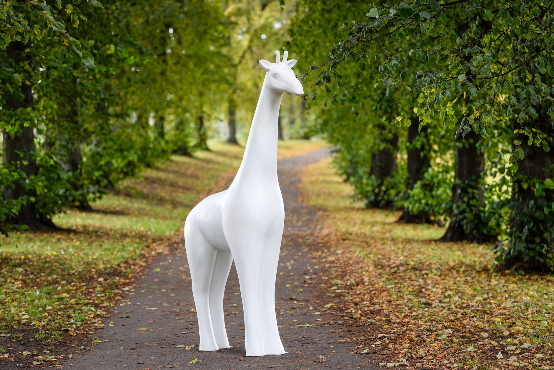 Blank giraffe about town sculpture stood on path with trees either side

Image: 2021