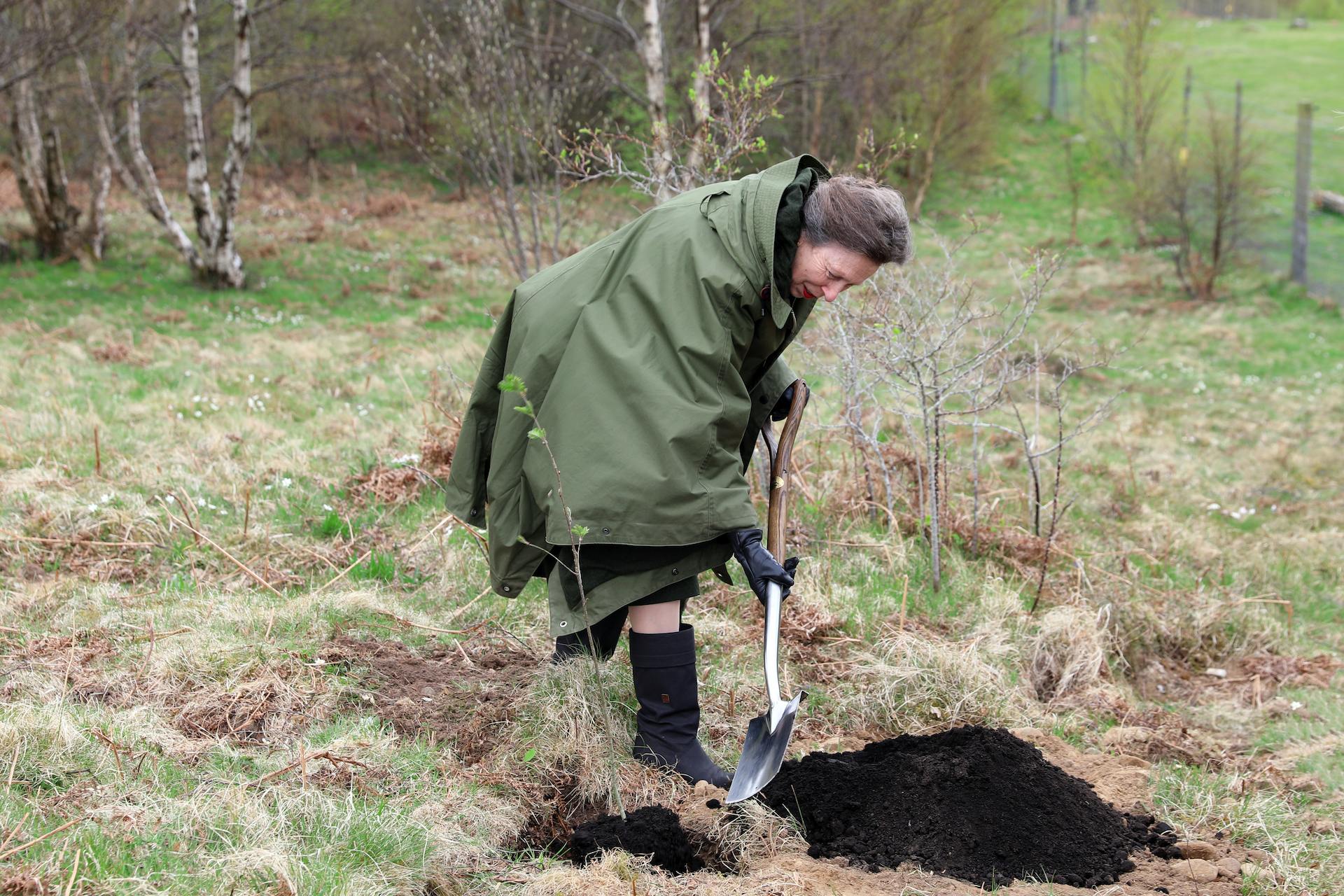 HRH Princess Royal planting tree to mark site of Scotland's Wildlife discovery Centre

Image: LAURA MOORE 2022