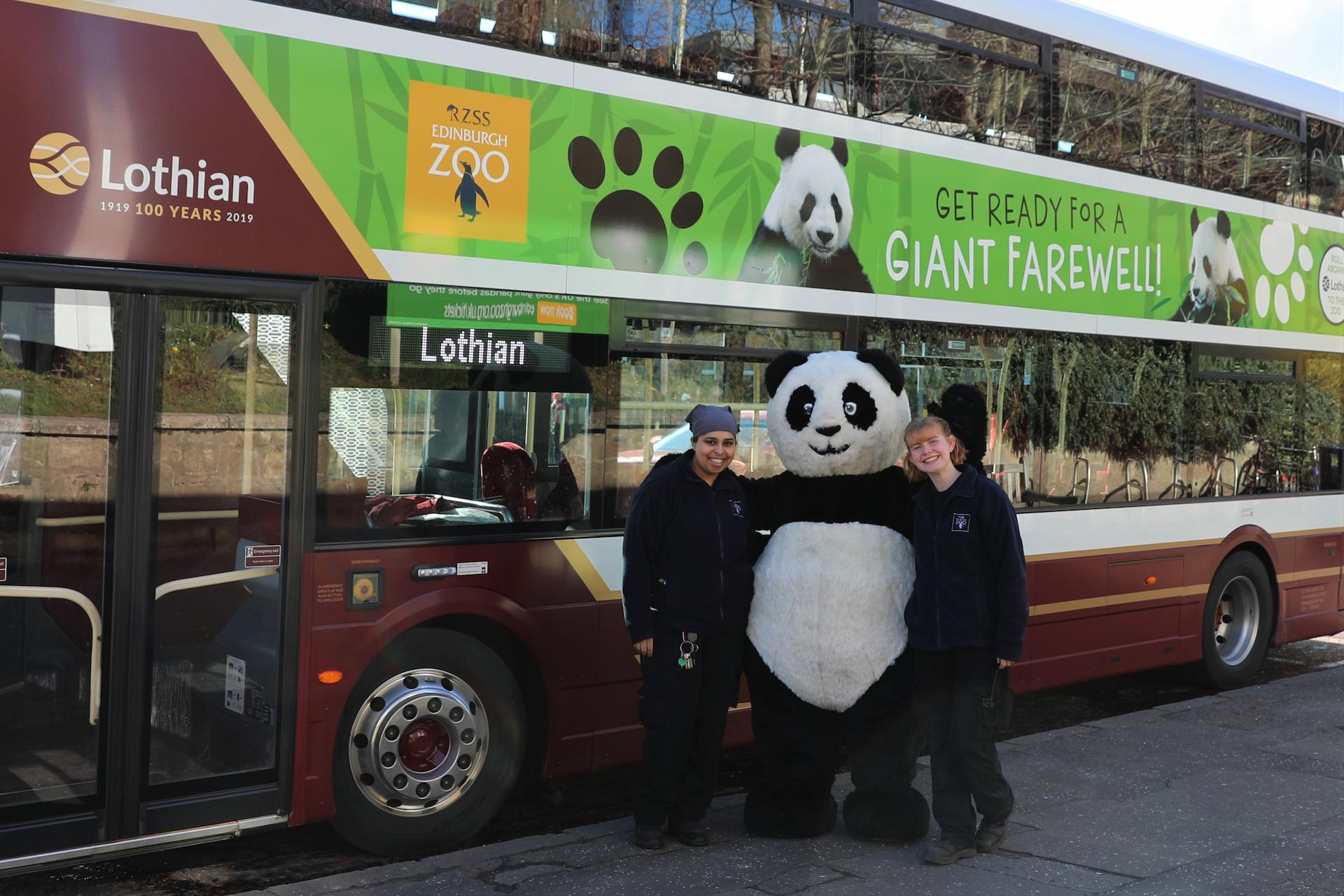 Carnivore keepers and panda mascot pose smiling beside giant panda farewell Lothian bus 

Image: 2023
