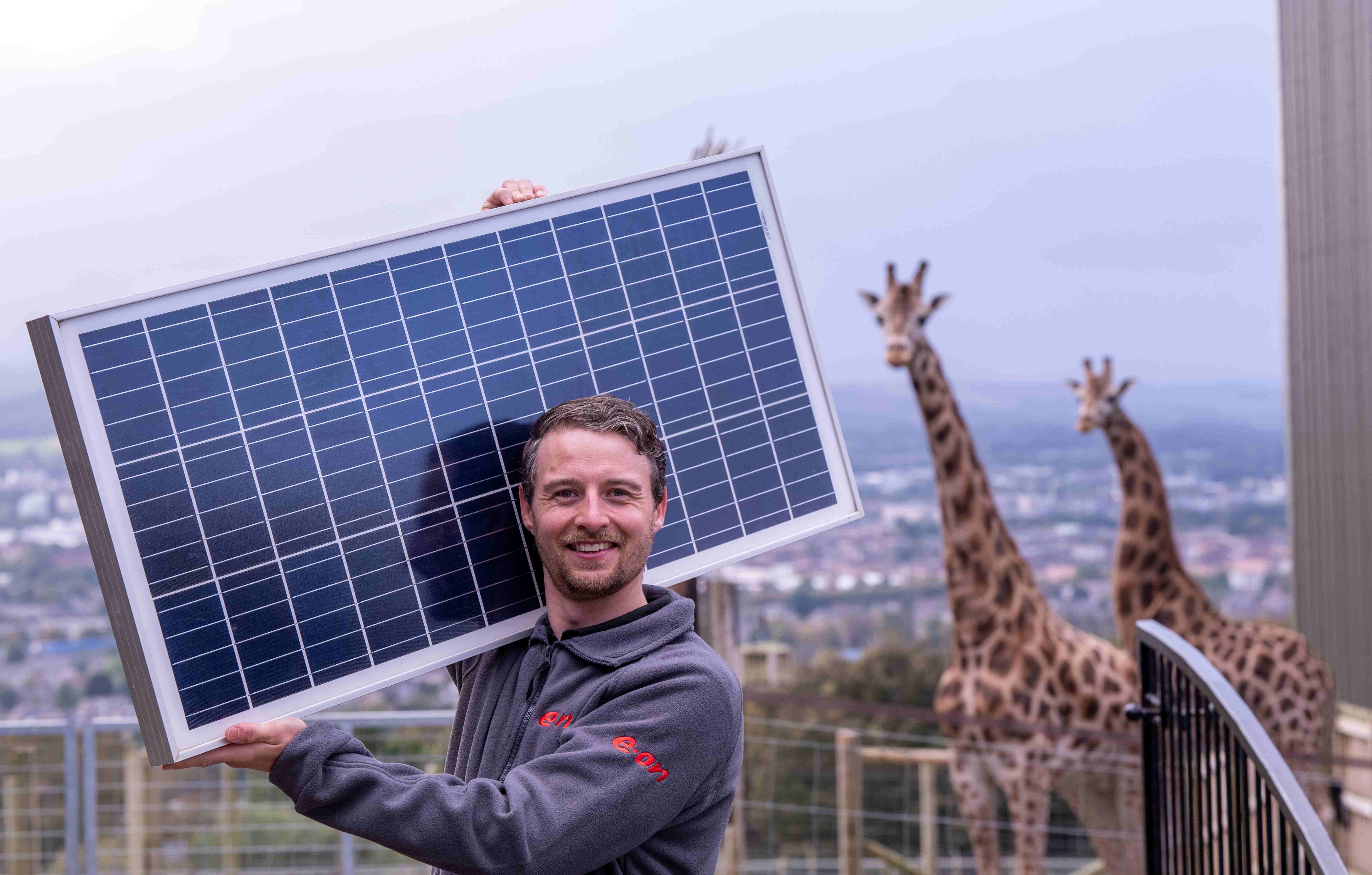 EON worker carrying solar panel for solar field beside outdoor giraffe enclosure

Image: 2023