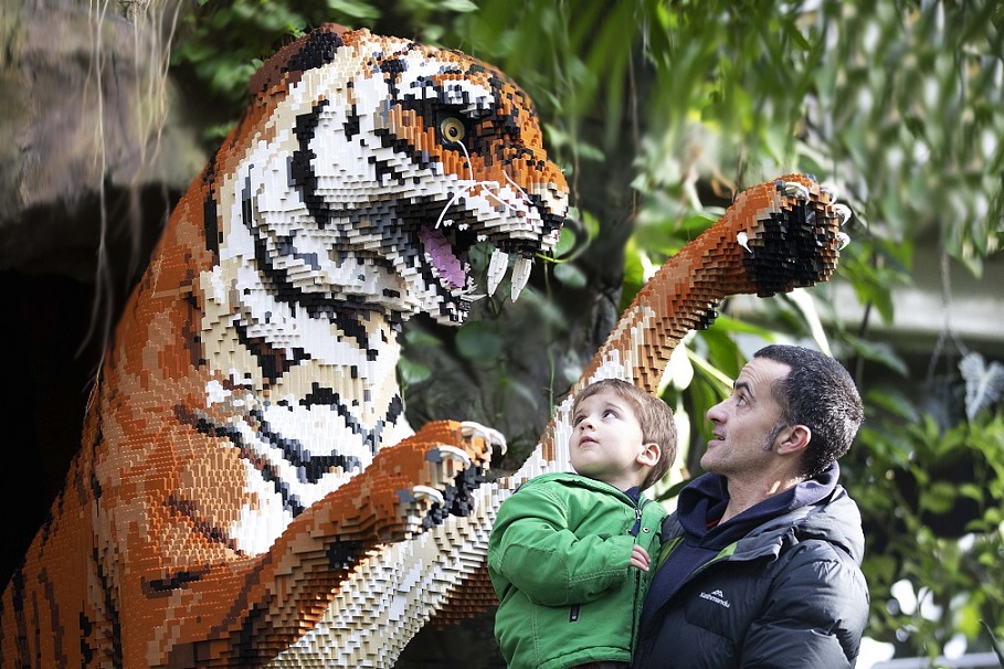 Man and son looking at large BRICKLIVE Bengal tiger model IMAGE: BRICKLIVE 2023