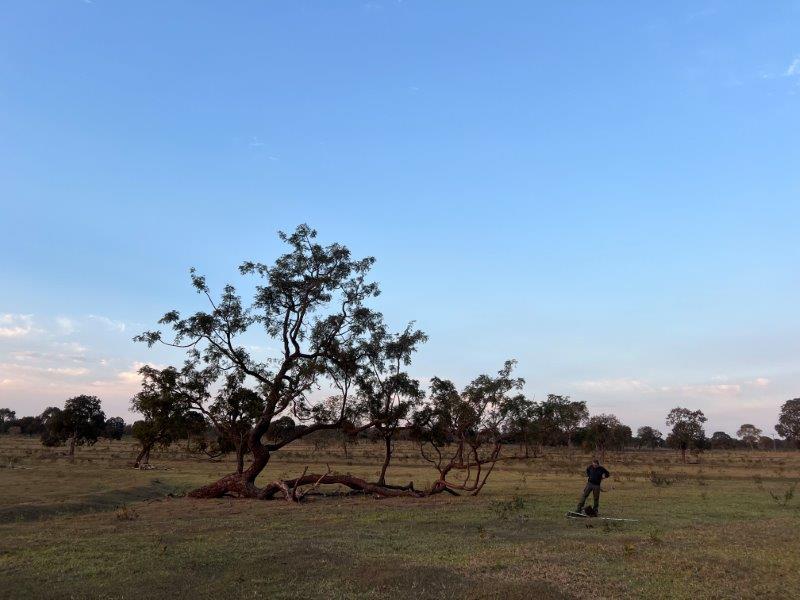 ICAS new study site in the Cerrado IMAGE: ICAS 2024