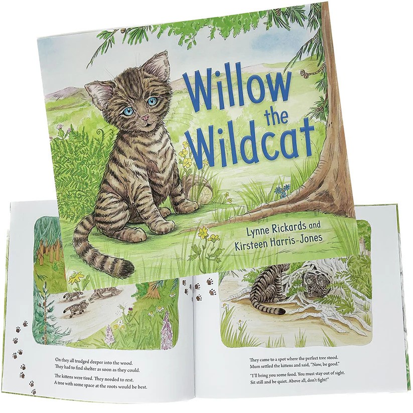 willow the wildcat book