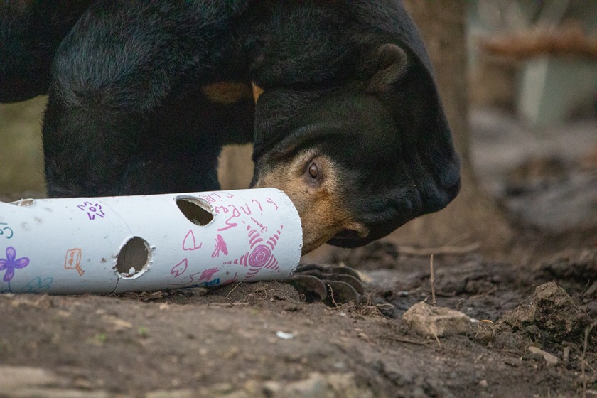 Children First event at Edinburgh Zoo IMAGE 2026 RLF