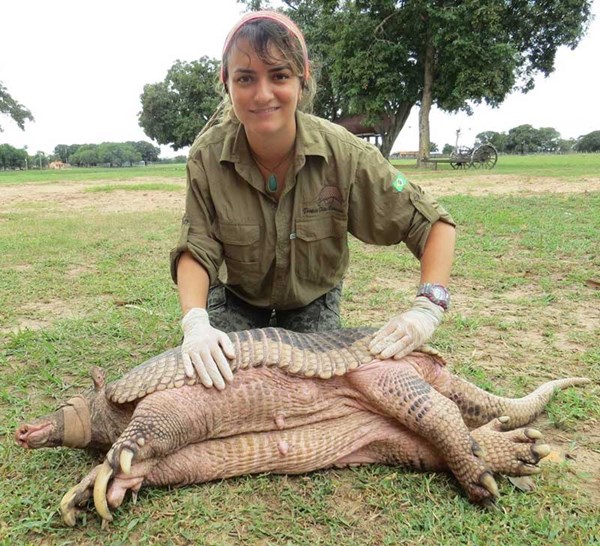 Bruna Oliveira with giant anteater in Brazil IMAGE: ICAS 2019