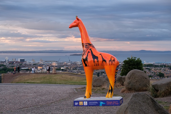 Giraffe About Town sculpture IMAGE: Laura Moore 2022