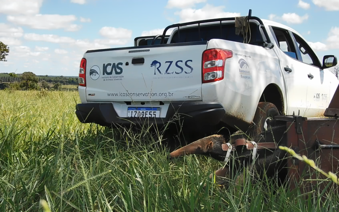 ICAS RZSS truck used in the field IMAGE: RZSS 2022